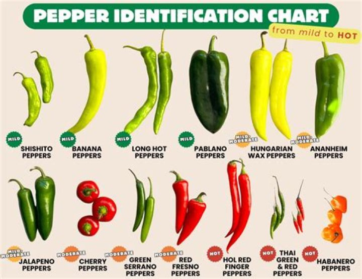 Are all peppers edible?