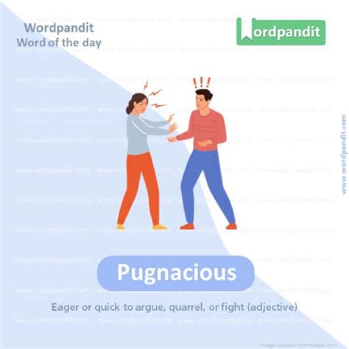 Are belligerent and pugnacious?