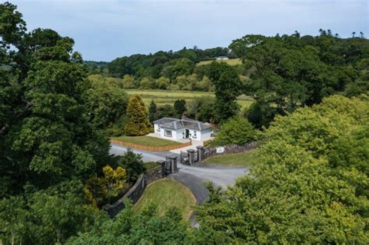 Are dogs allowed in mount congreve?
