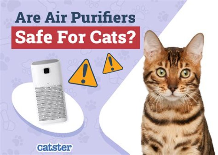 Are ivy's safe for cats?