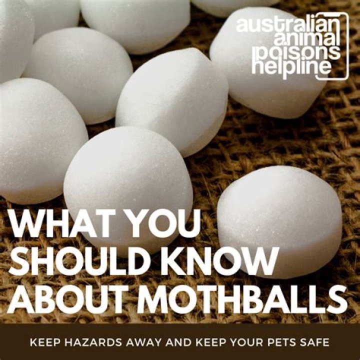Are moth balls toxic to eat?