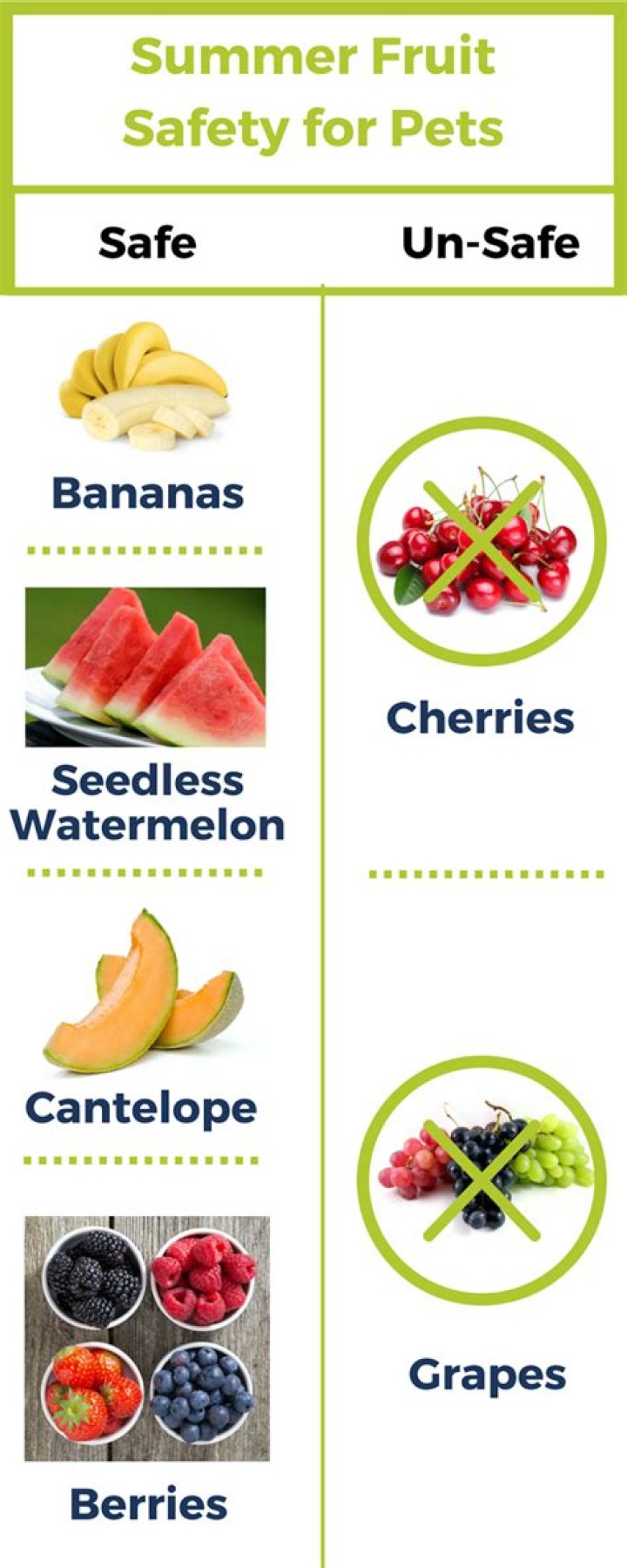 Are pitless cherries bad for dogs?