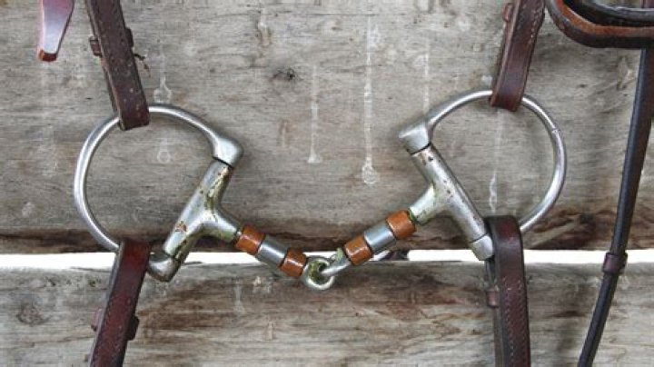 Are snaffle bits good for horses?