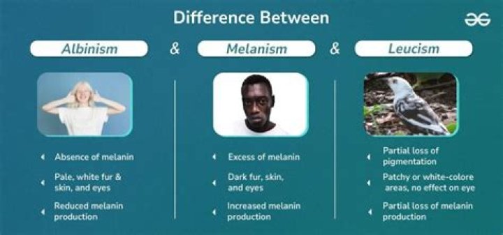 Are there melanistic humans?