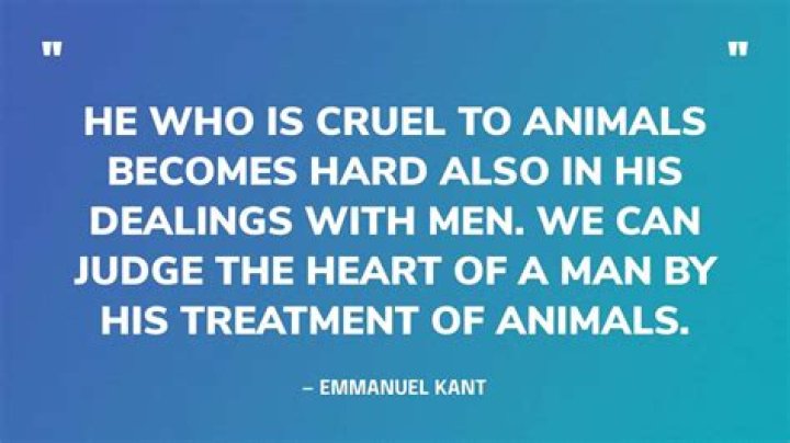 Are uggs cruel to animals?