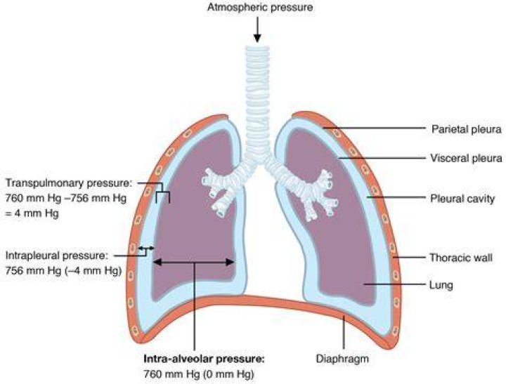 At the end of passive exhalation the intrathoracic pressure is?