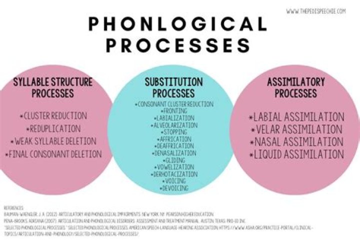 At what age should phonological processes disappear?
