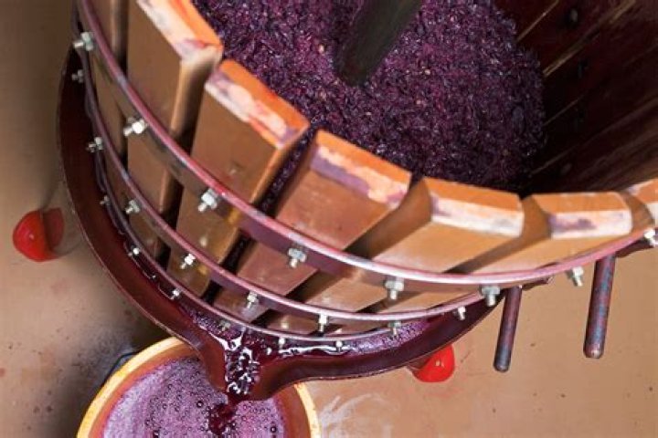 At what brix to press red wine?