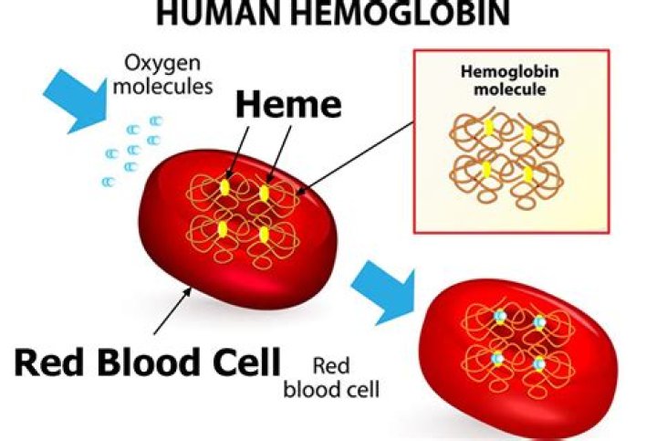 At what hemoglobin do you transfuse?