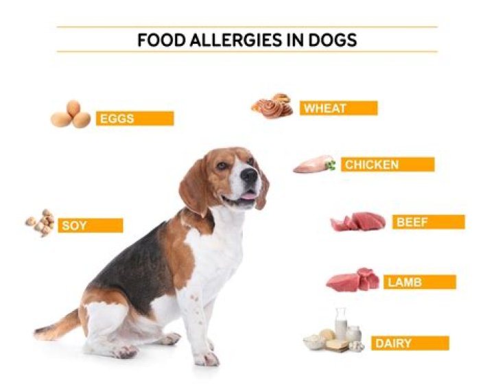 Can dogs be allergic to whitefish?
