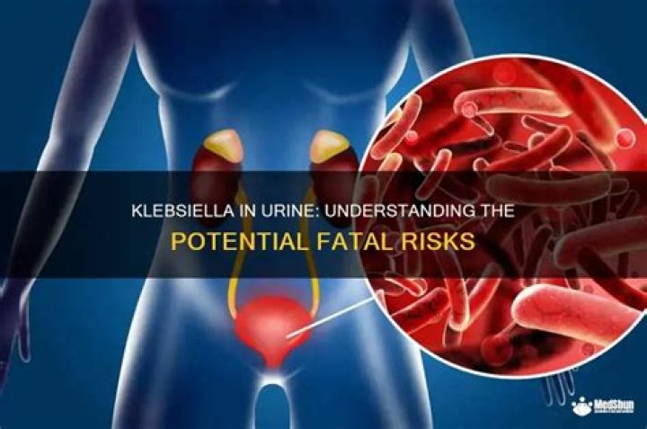 Can klebsiella in urine be fatal?