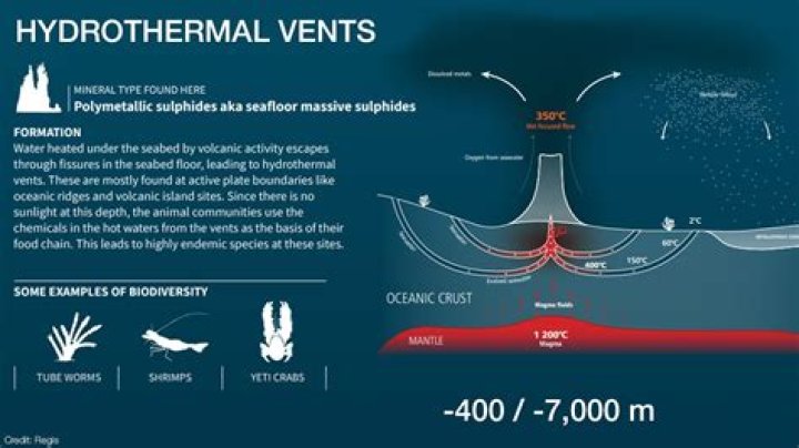 Can live beside hydrothermal vents?