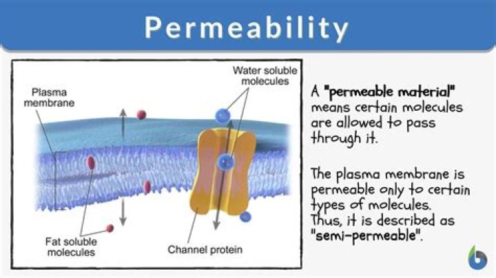 Can permeability be negative?