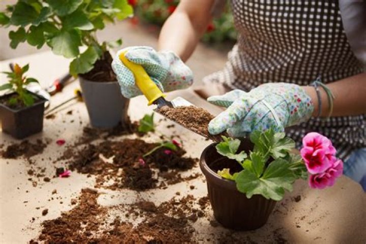 Can potting mix be reused?