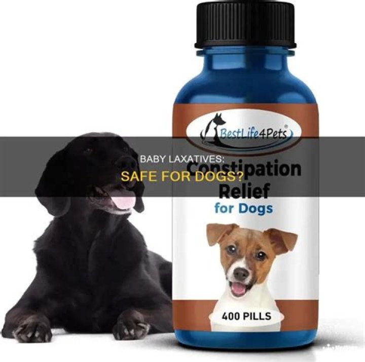 Can you give dogs laxatives?