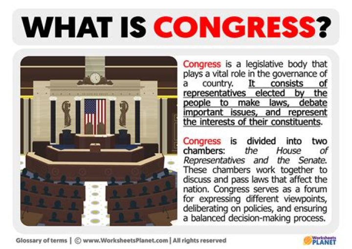 Could congress enforce the laws it passed?