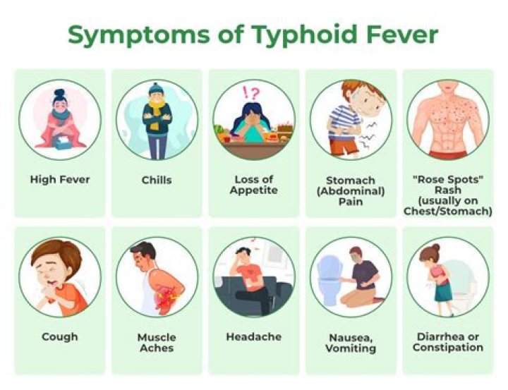 Could typhoid fever have been prevented?
