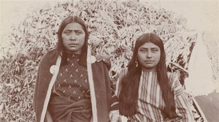Did comanches use saddles?