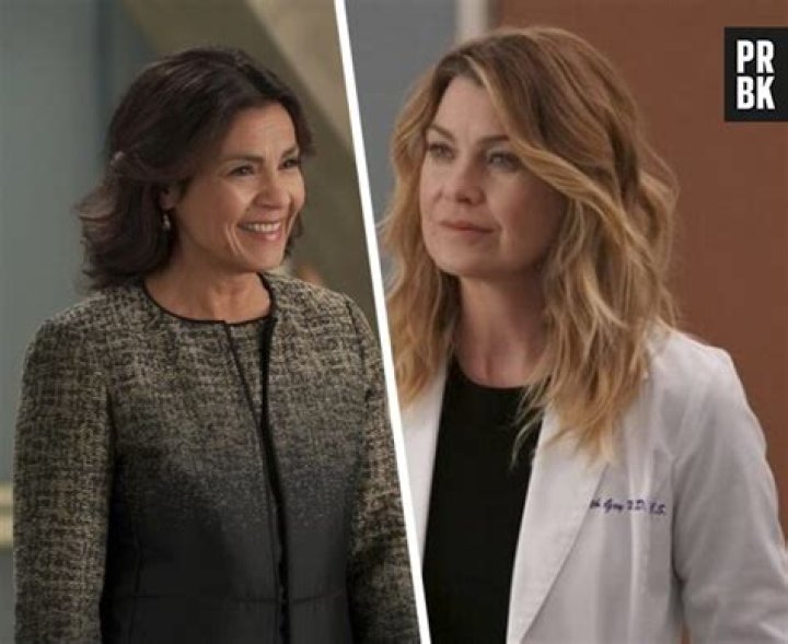 Did marie cerone steal meredith's idea?