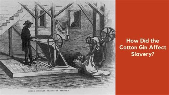 Did the cotton gin affect slavery?