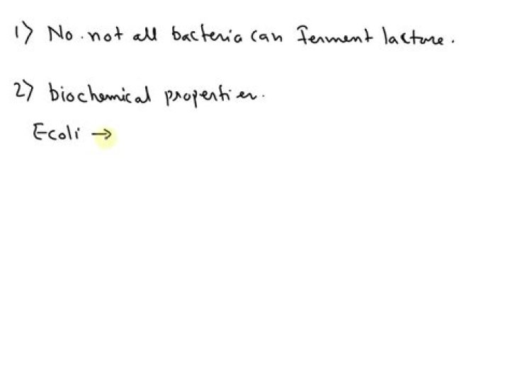 Do all bacteria ferment lactose?