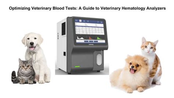 Do lacura test on animals?