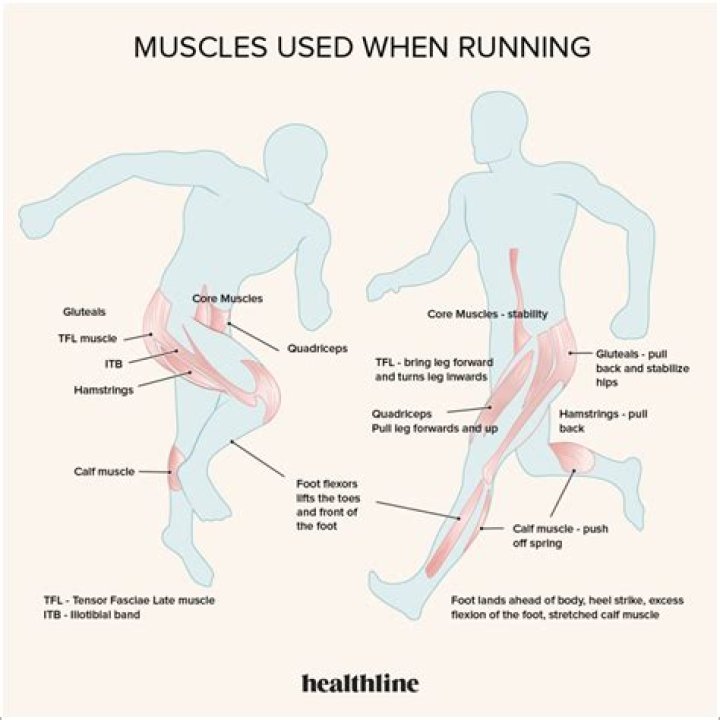 Do leg muscles grow from running?