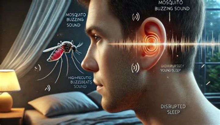 Do mosquitoes make a buzzing sound?