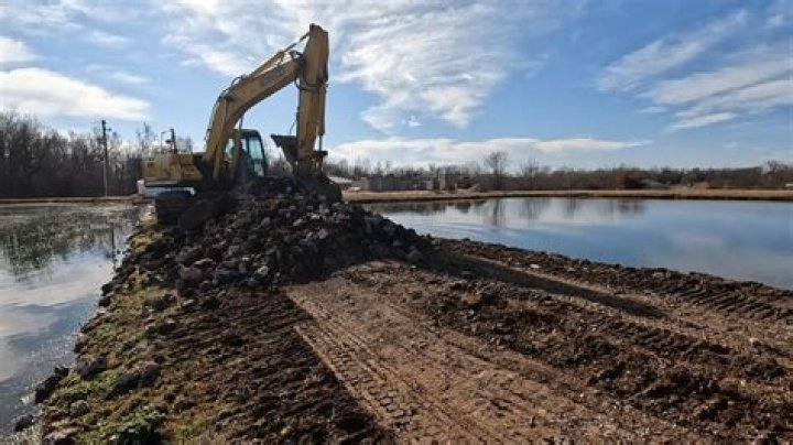 Do muskrats build dams?