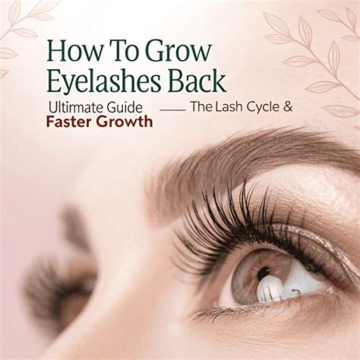 Do snapped eyelashes grow back?