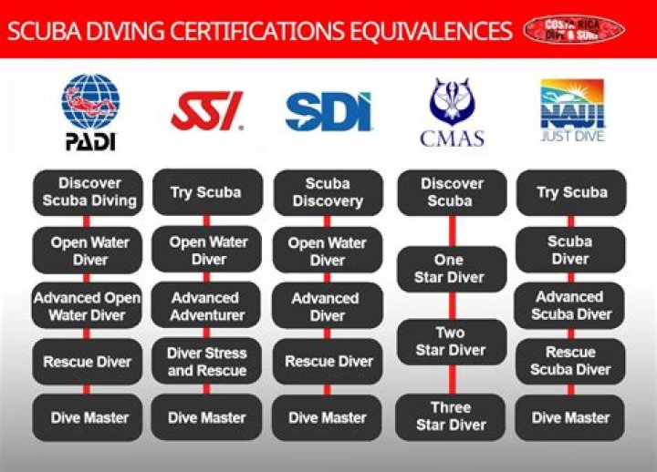 Do you have to be scuba certified to spearfish?