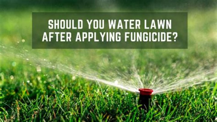 Do you water in lawn fungicide?