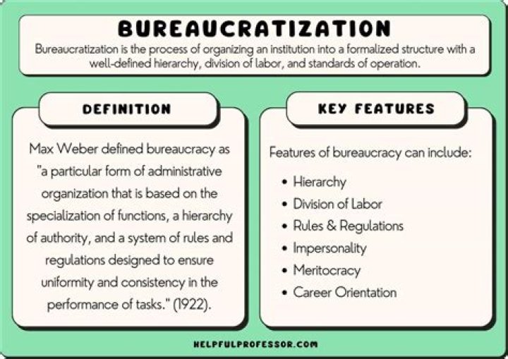 Does a bureaucrat do?