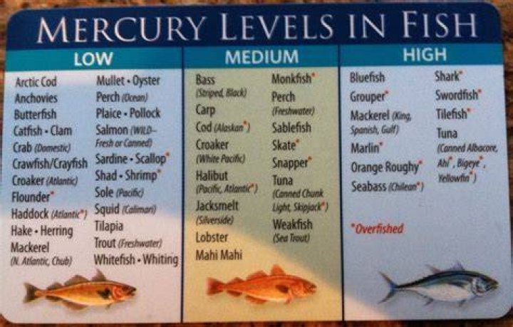 Does blackfin tuna have mercury?