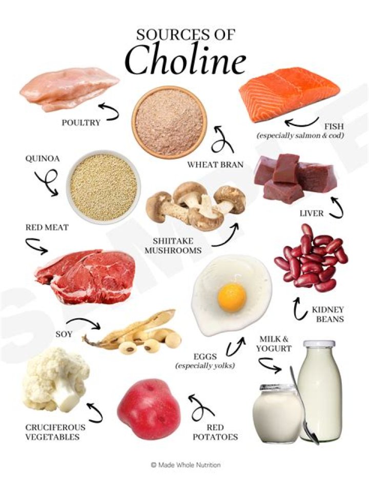 Does chicken have choline?