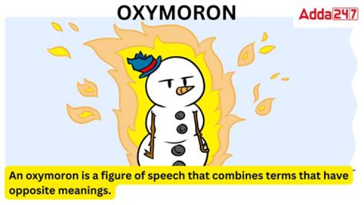 Does moran mean moron?