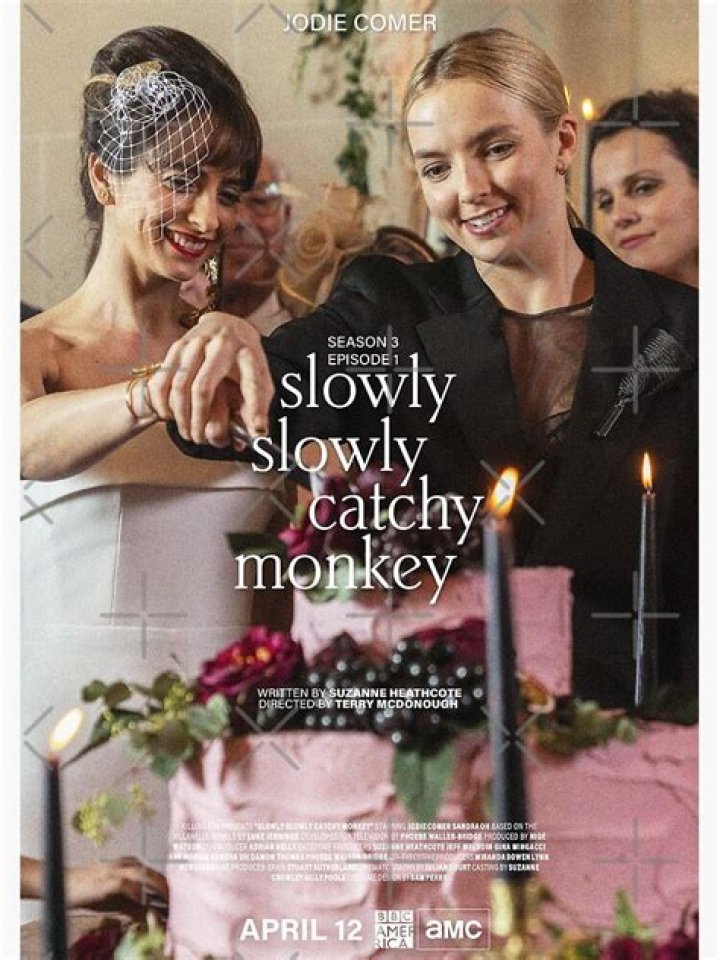 Does slowly slowly catchy monkey mean?