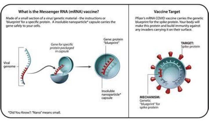 Does the pfizer vaccine work?