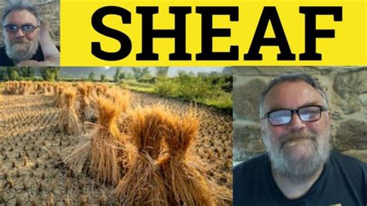 Does the word sheaves mean?