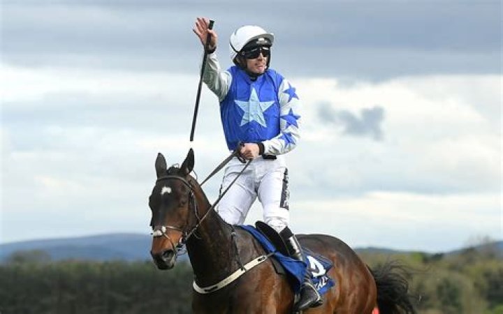 Has ruby walsh retired?
