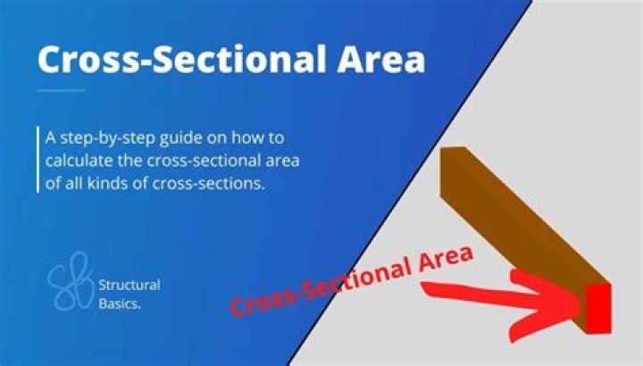 Has the largest cross sectional area?