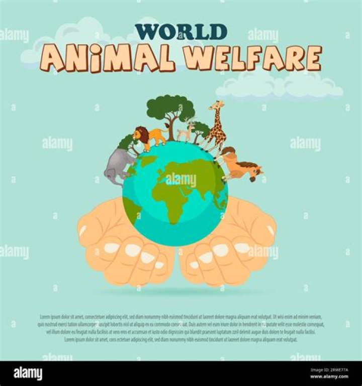 How aware are animals?