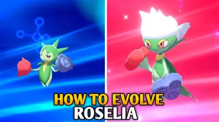 How budew evolve to roselia?