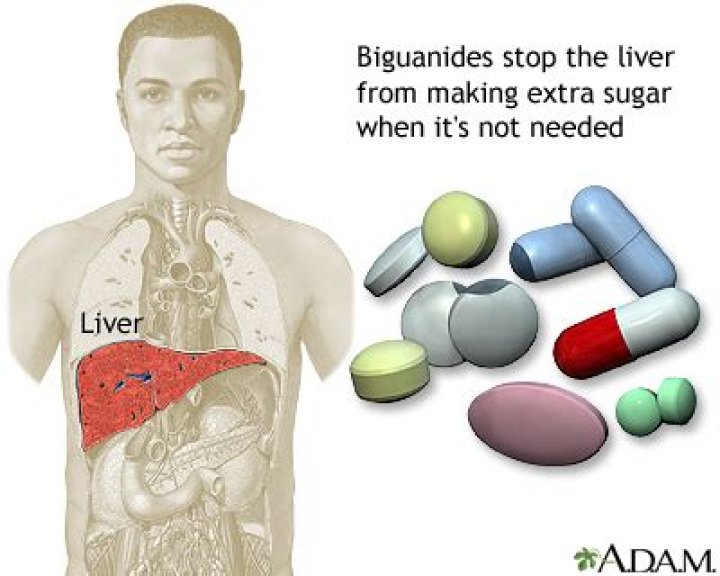 How do biguanides work?