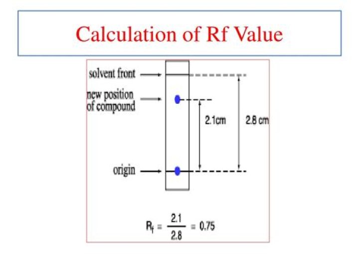 How do you calculate the rf value?