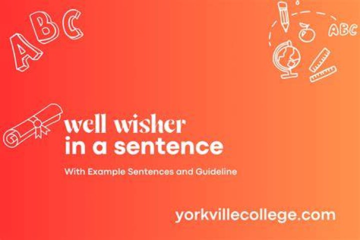How do you use well-wisher in a sentence?