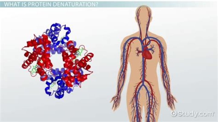 How does denaturation denature proteins?