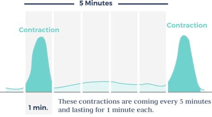How far about should contractions be?
