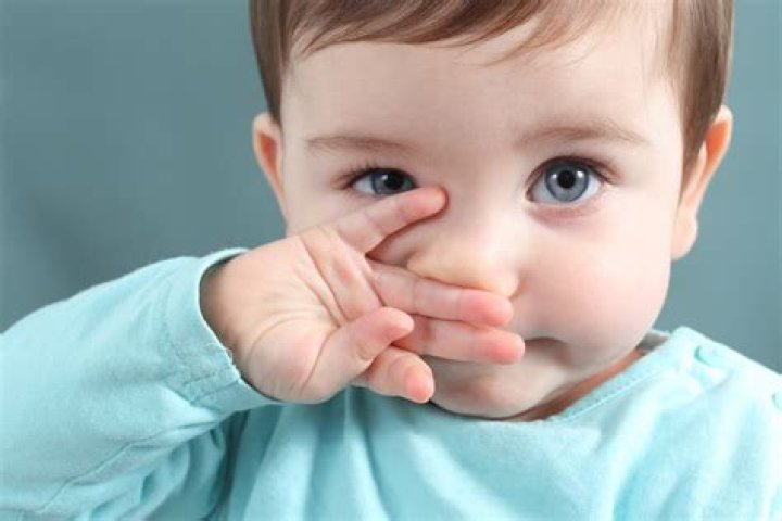 How long are babies obligate nose breathers?