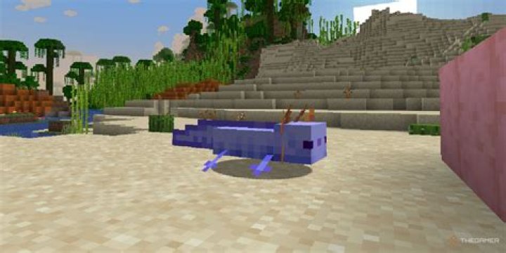 How rare are amethysts in minecraft?
